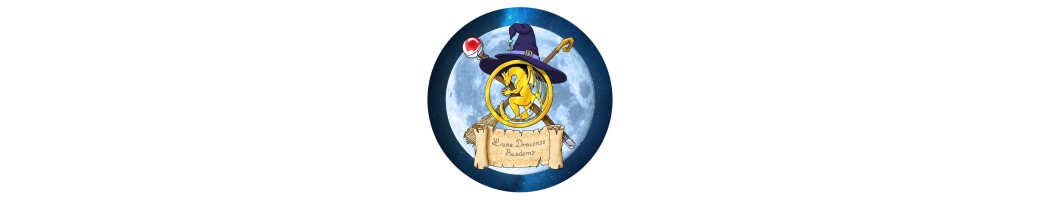 Luna Draconis : Academy For Witches And Wizards !